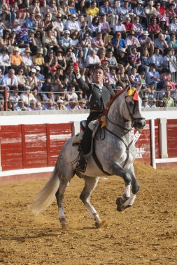at sırtında İspanyol Boğa güreşçisi boğa banderillas pozoblanco içinde koyarak leonardo hernandez