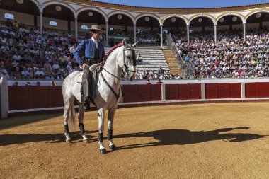 İspanyol Boğa güreşçisi sırtında pablo hermoso pozoblanco kutlama başlamak için de paseillo başlayan mendoza