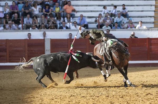 Torero español a caballo Diego Ventura a caballo, con la espada de la muerte para matar al toro, en Pozoblanco — Foto de Stock