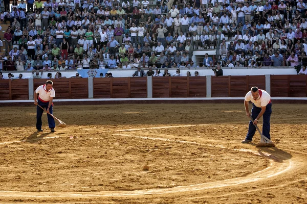 Empleados del servicio de la plaza de toros de Pozoblanco alisando la arena con un rastrillo en Pozoblanco — Foto de Stock