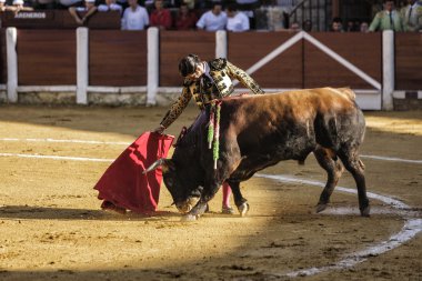 İspanyol Boğa güreşçisi morante de la puebla bir boğa güreşi ubeda bullring öğleden sonra yaptığı ilk boğa içinde koltuk değneği ile