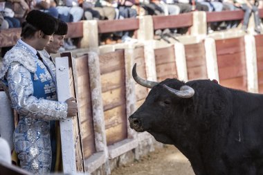 İspanyol matadorlar boğa burladero arkasında seyir agresif hayvanın ubeda saldırıdan korumak