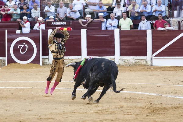 Španělský toreador morante de la puebla uvedení vlajky proti býk suspendované ve vzduchu v aréně ubeda — Stock fotografie