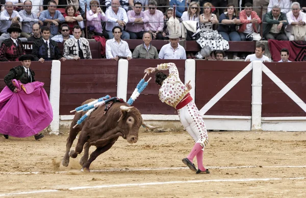 スペイン語闘牛士フアン ホセパディーヤ ウベダの闘牛場で 650 kg の雄牛にヴァイオリンと呼ばれるスタイルを雄牛にブレスレットのジャケットを修正 — ストック写真