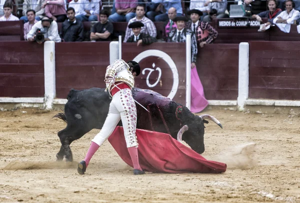 Toureiro espanhol Juan Jose Padilla com a capa tourada um touro de quase 600 kg de cinzas negras durante uma tourada realizada em Ubeda — Fotografia de Stock