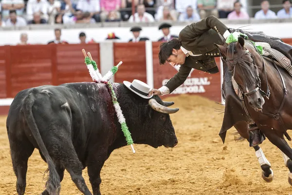 馬に乗って、馬に乗ってサンディエゴ ベンチュラ闘牛スペイン闘牛士の馬と壮大なピルエットを作る牛の頭の上のコルドバの帽子を置くしようとしています。 — ストック写真