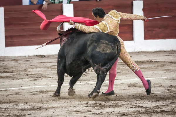 Torero español Manuel Jesús El Cid con capota o capa de toro un toro de casi 600 kg de ceniza negra durante una corrida de toros celebrada en Linares — Foto de Stock