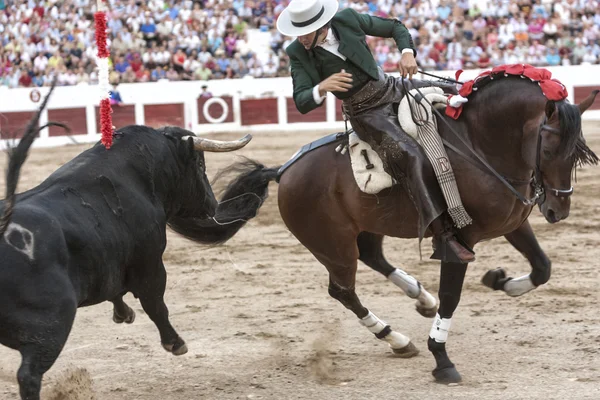 İspanyol Boğa güreşçisi at diego ventura boğa güreşi sırtında, üzerinde çivi boğa arkasında kırmızı bir bayrak — Stok fotoğraf