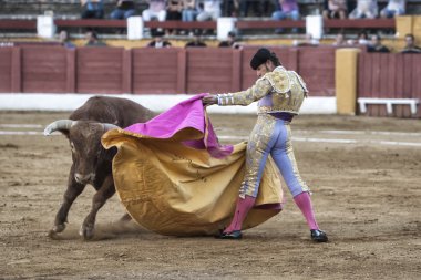 halklardan Boğa güreşçisi andujar bullring düşük tarafından güzel bir seferde bir koltuk değneği ile david valiente boğa güreşi
