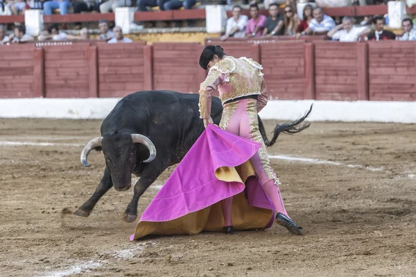 Bullfighter Espanhola Daniel Luque touradas com uma muleta em uma bela passagem por baixo no Bullring de Andujar — Fotografia de Stock