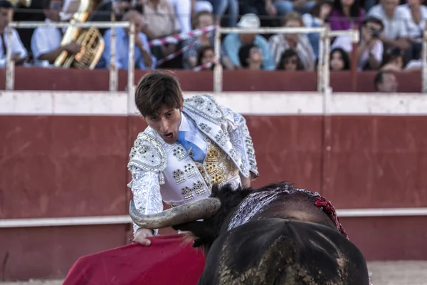 Torero Alberto Lamelas llamando al toro para atacar tu próxima muleta de pase en la Plaza de Toros de Beas de segura — Foto de Stock