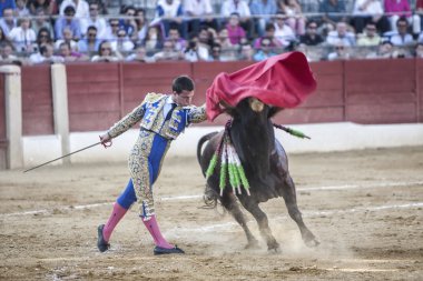 Boğa güreşçisi julian lopez el juli boğa güreşi baeza Arena içinde güzel bir seferde bir koltuk değneği ile