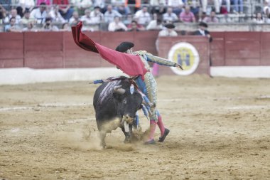 Matador luis francisco espla byków z kuli w piękne przepustkę na arenie w baezaBoğa güreşçisi luis francisco espla boğa güreşi baeza Arena içinde güzel bir seferde bir koltuk değneği ile