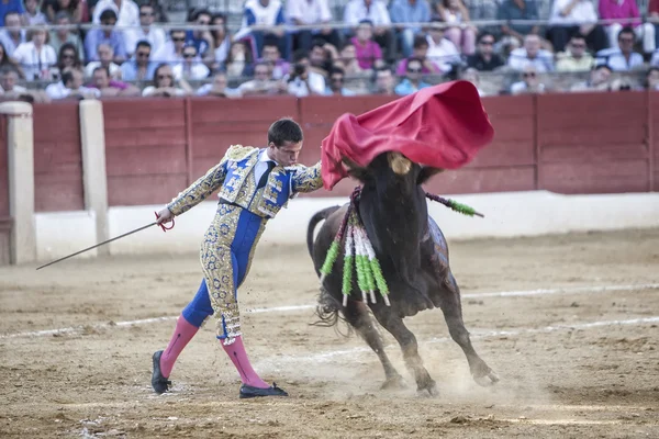 Tjurfäktare julian lopez el juli tjurfäktning med en krycka i ett vackert pass i baeza tjurfäktningsarenan — Stockfoto