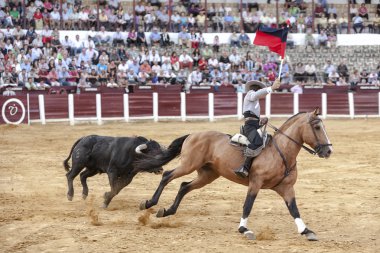 İspanyol Boğa güreşçisi fermin bohorquez boğa güreşi bir bayrağı ile