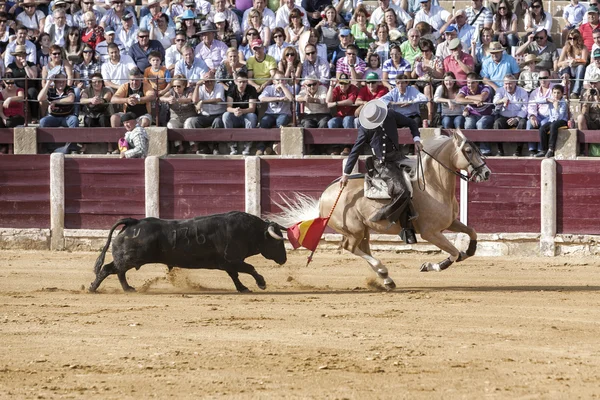 Torero spagnolo Fermin Bohorquez corrida con una bandiera di — Foto Stock