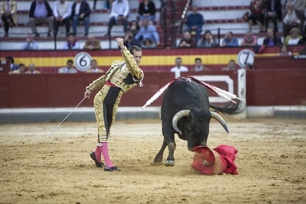 スペイン闘牛士セザール ヒメネス、雄牛は松葉杖あちこち — ストック写真