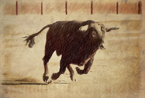Tužka kreslení na prádlo statečný býka do klusu v býčí zápasy, Španělsko — Stock fotografie