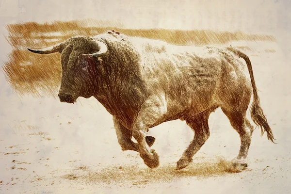 闘牛、スペインのギャロップする勇敢な雄牛のリネンに鉛筆 — ストック写真