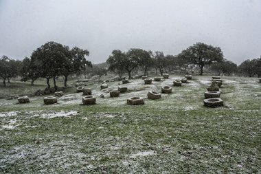 Taken Just Before Starting To Snow, Parque Natural de Sierra Morena, Andújar, Andalusia, Spain