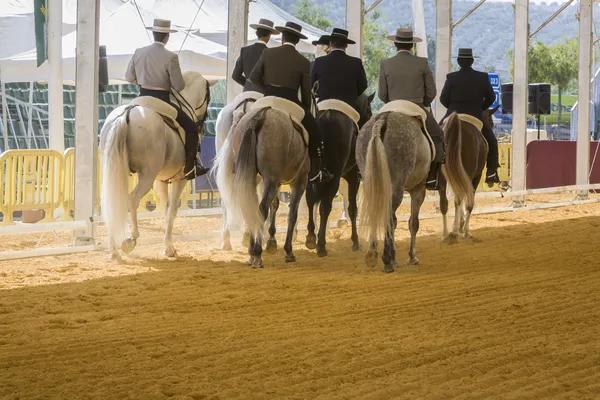 Jinetes a caballo durante un concurso de pura raza caballo español —  Fotos de Stock