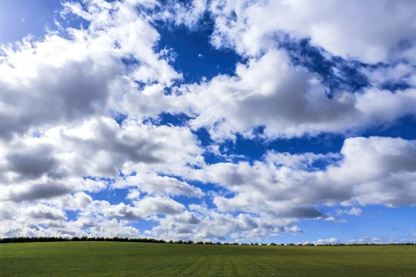 Paisagem com grama verde, estrada e nuvens — Fotografia de Stock