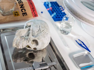 Adli tıp laboratuarında öldürülmüş bir yetişkinin kafatası, kavramsal görüntü.