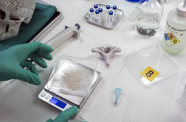 Kriminalpolizei Wägt Probe Menschlichen Knochenpulvers Für Dna Analyse Auf Elektronischer — Stockfoto