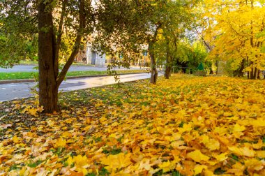 Öğleden sonra Moskova Devlet Üniversitesi 'nin binası gökyüzüne karşı.