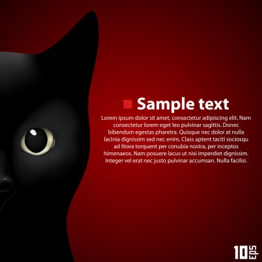 Portrait beautiful cat clipart