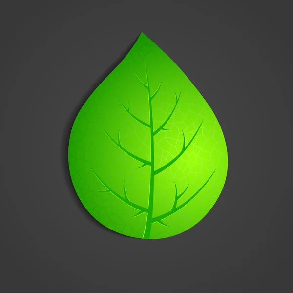 Vector groene natte blad — Stockvector