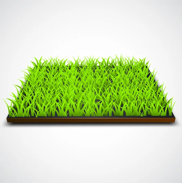 白い背景の上の緑の芝生フィールドの広場 — ストックベクタ