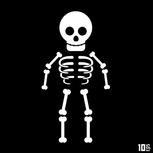 Skeleton — Stock Vector