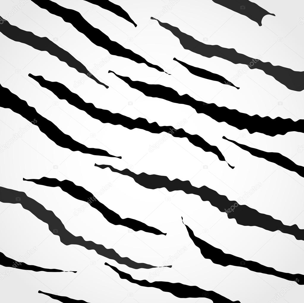 Vector illustration of zebra pattern. Collection of animal texture.