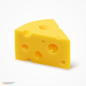 trojúhelníkový kus sýra. vektor