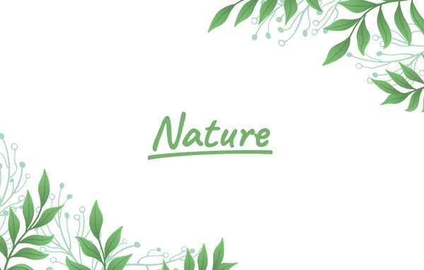 Cover Nature Botanical Banner Green Border Beautiful Art Forest Vector — Stock Vector