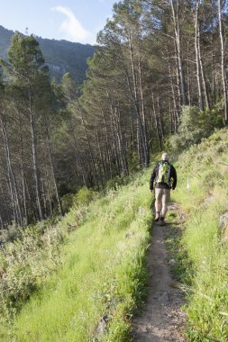 Dağda yürüyüş.