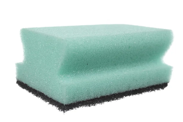 Close-up Sponge — Stock Photo, Image