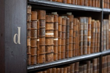 Dublin, İrlanda - Ocak 03: trinity college library uzun odasında raflar