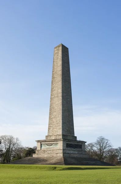 Wellington anıt phoenix Park'ta. Dublin — Stok fotoğraf