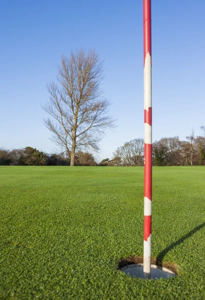 Grün auf dem Golfplatz — Stockfoto