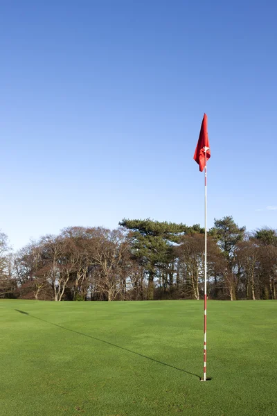 Verde no campo de golfe — Fotografia de Stock