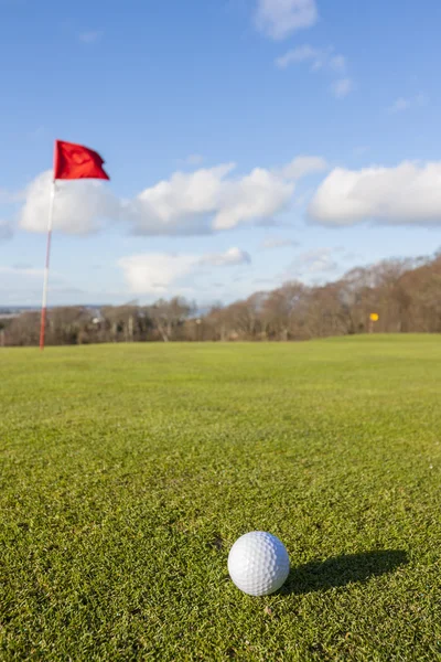 Golf green — Stock Photo, Image