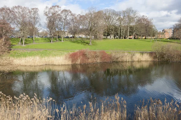 Lake in the park — Stock Photo, Image