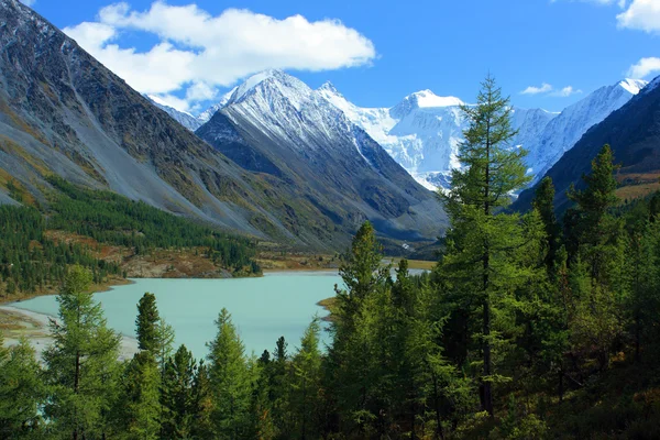 Altai. Lago Akkemskoe . — Foto Stock