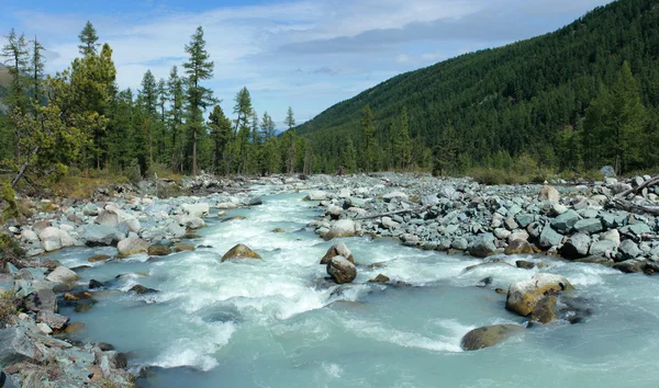 Mountain Altai. O rio Akkem . — Fotografia de Stock