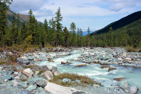 Mountain Altai. El río Akkem . — Foto de Stock