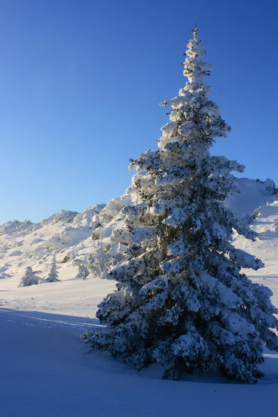 Montagnes d'hiver. Oural Sud, colonne vertébrale de "Taganay", Russie . — Photo