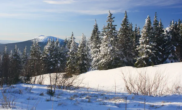 Montagnes d'hiver. Oural Sud, colonne vertébrale de "Taganay", Russie . — Photo