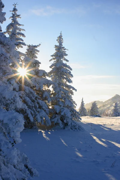 Montagnes d'hiver. Oural Sud, colonne vertébrale de "Taganay", Russie . — Photo